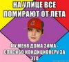 m_0c53ec76.jpg