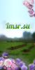 imsr-spring.png