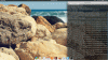 29-07-2014 16_47_25.gif