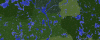 Capture.PNG