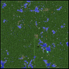 forest-4.PNG