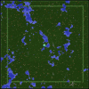 forest-7.PNG