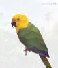 parrot.png