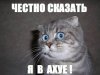 nbG8IQxwJcs.jpg