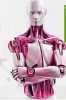 upload_2015-1-20_0-3-21.png