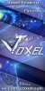 VoxelTeam.jpg