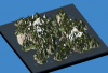 Generated World12.png
