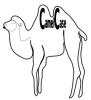 966537cc0c6f3ed.png