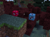 Screenshot_10.png