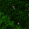 Screenshot_1.png