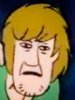 shaggy.jpg