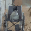 Screenshot_1.png
