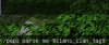 upload_2019-12-13_13-56-58.png