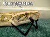 загружено (1).jpg