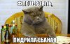 -MYGbq9IeZQ.jpg