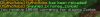 upload_2021-9-24_22-4-5.png