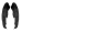 krilya_plash.png