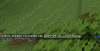 майн3.PNG