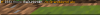 upload_2024-11-4_16-56-2.png