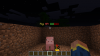 NamedPig1.png