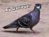 ай маладца.jpg