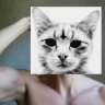 myalkleon