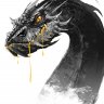Dmtry Server