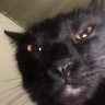 Atem