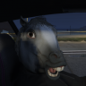 _RainBowSheep_