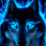 NightWolf