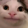 MrPoteto