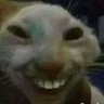 meloxer