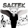 saltek1995