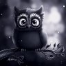 Mr. Owl