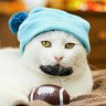 yahoo
