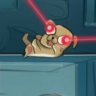 Force Play