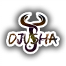 djusha29