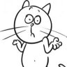 Wicki