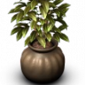Noop1Sliva