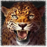 xxx_LEOPARD_xxx