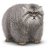 Manul
