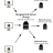 _David