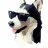 Kiba