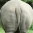 AriCtoCraT