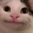 MrPoteto