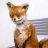 HomeFox
