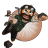 misdrav