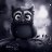 Mr. Owl