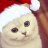 Mr_Exemple