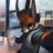 rufous_fox